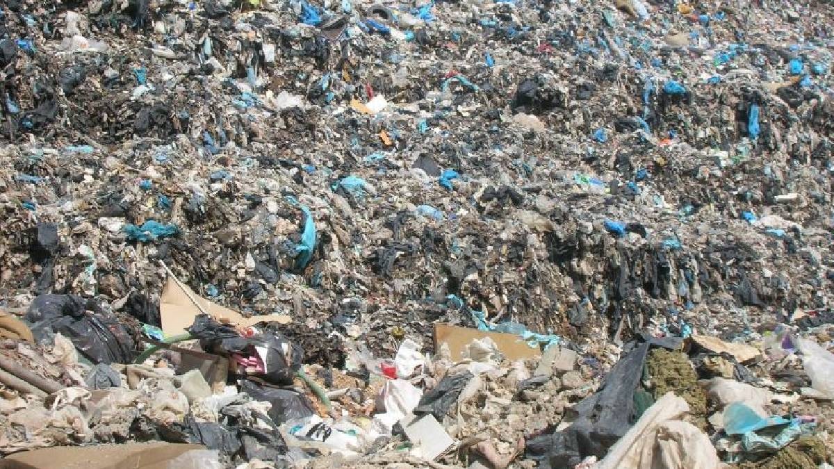 Çöpten topladıkları poşetlerle inanılmazı başardılar