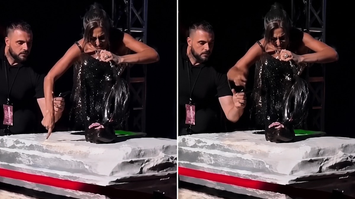 Yıldız Tilbe sahnede sinirlendi güvenliği itti