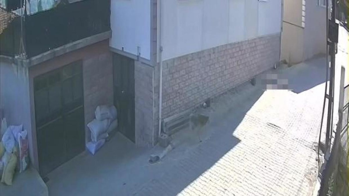 Balkondan düşen kadın feci şekilde can verdi