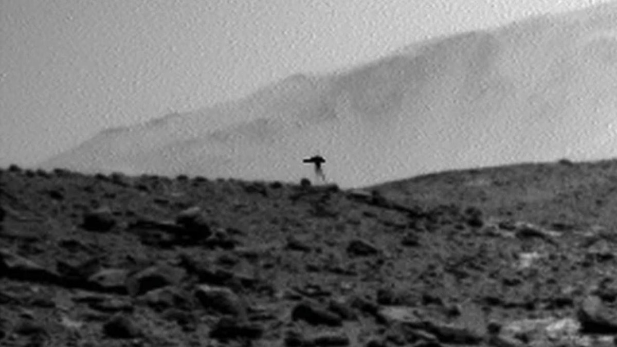 Mars'ta kameralara takılan denizanasının sırrı ortaya çıktı
