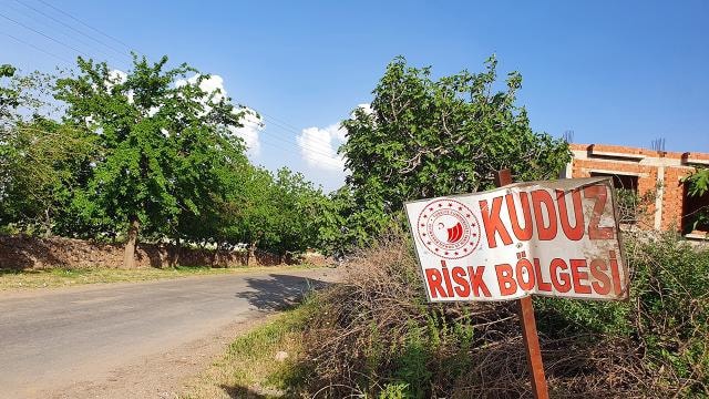 Ardahan'da kuduz vakası: Mahalle karantinaya alındı