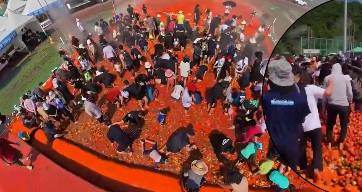 Bu festival sosyal medyayı ikiye böldü! 44 ton domatesin içinde altın yüzük aradılar