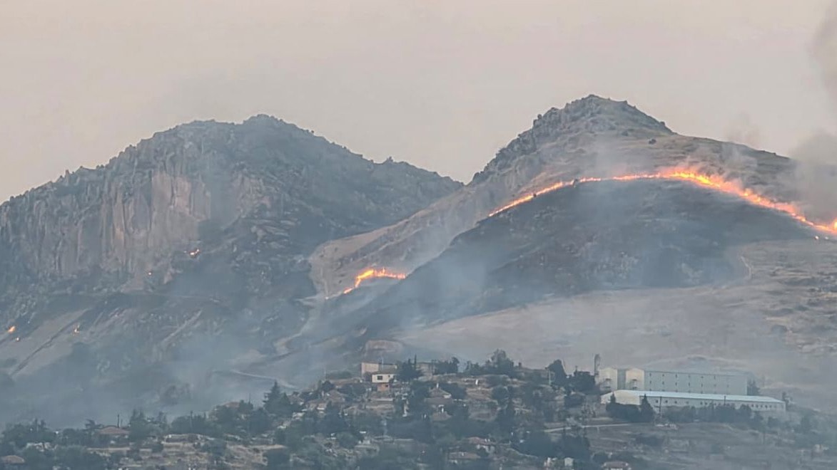 Ankara'da ağaçlık alanda yangın