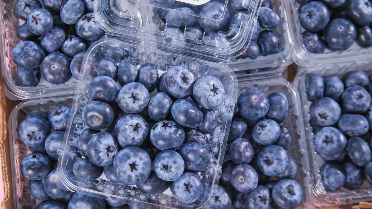 Yaban mersinlerinde virüs alarmı: Tüm paketler toplatılıyor