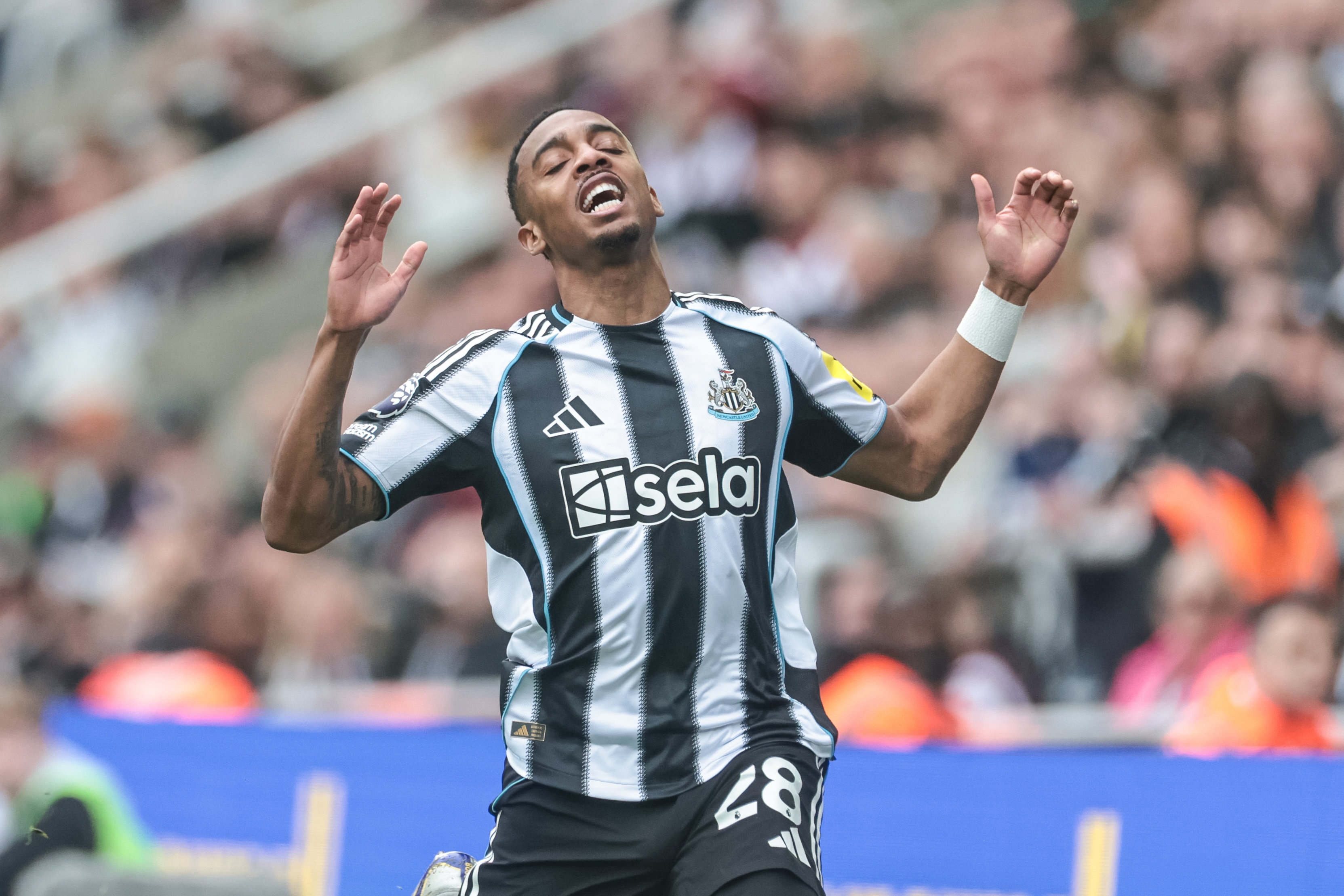 Beşiktaş'ta Joe Willock planı