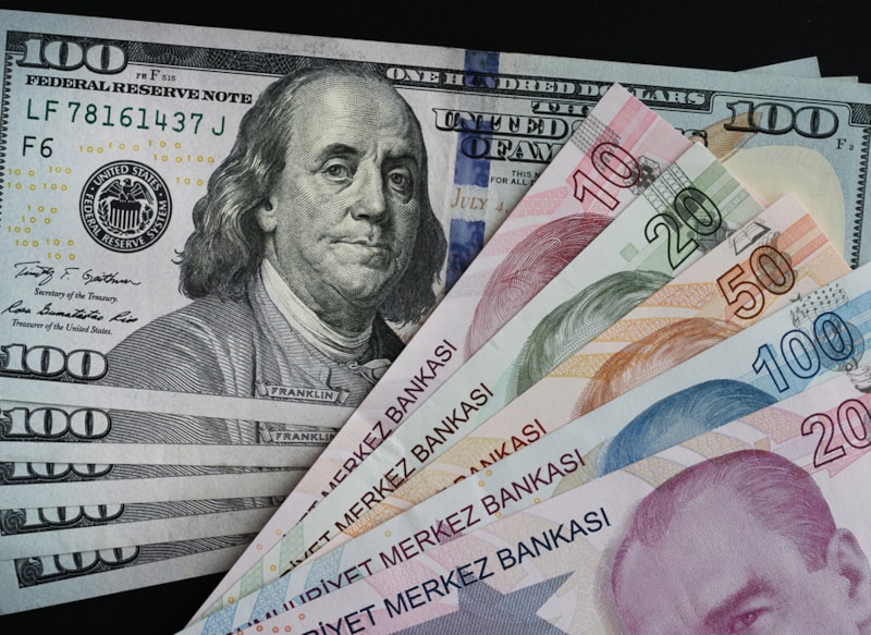 Koç Üniversitesi'nin anketinde dolar sorusuna şaşırtan yanıt
