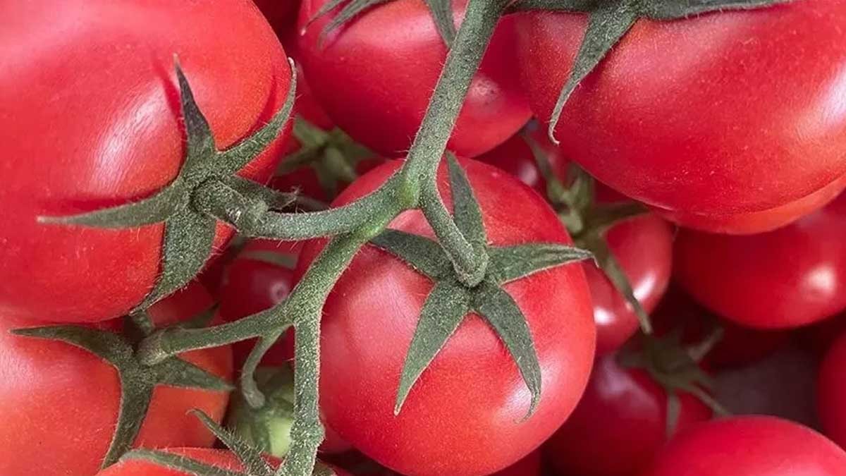 6 hafta boyunca her gün yediler... En büyük değişim görünmeyen organda oldu