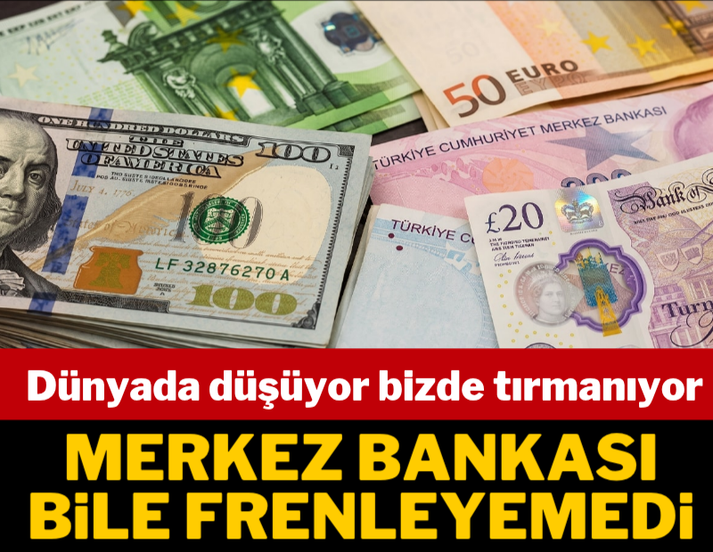 Dövizde tarihi rekor serisi art arda geldi