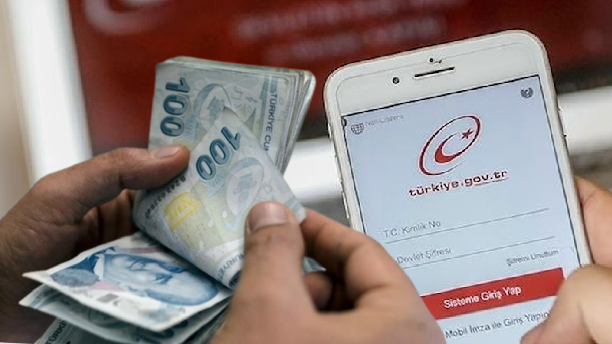 Hesabınızda unuttuğunuz para olabilir. E-Devlet'ten sorgulama ekranı açıldı