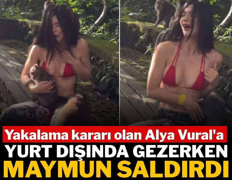 Yakalama kararı olan fenomen Alya Vural'a yurt dışında gezerken maymun saldırısına uğradı