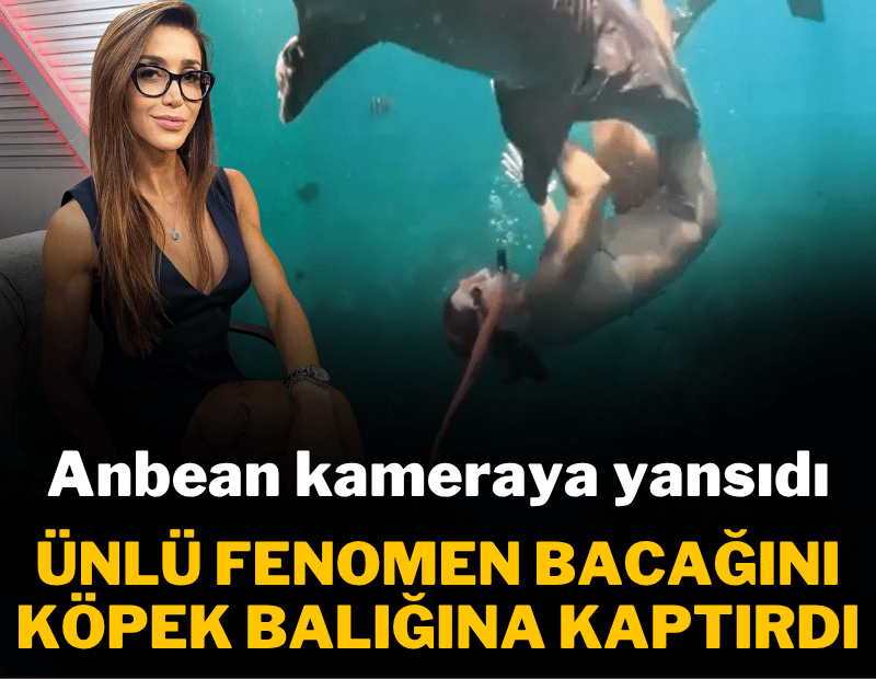 Fenomenin dalışı kabusa döndü: 2 metrelik köpek balığı saldırdı