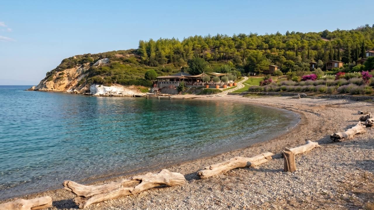 Geçen yılki felaket yine hortladı: İzmir sahillerinde sakın yaklaşmayın çağrısı