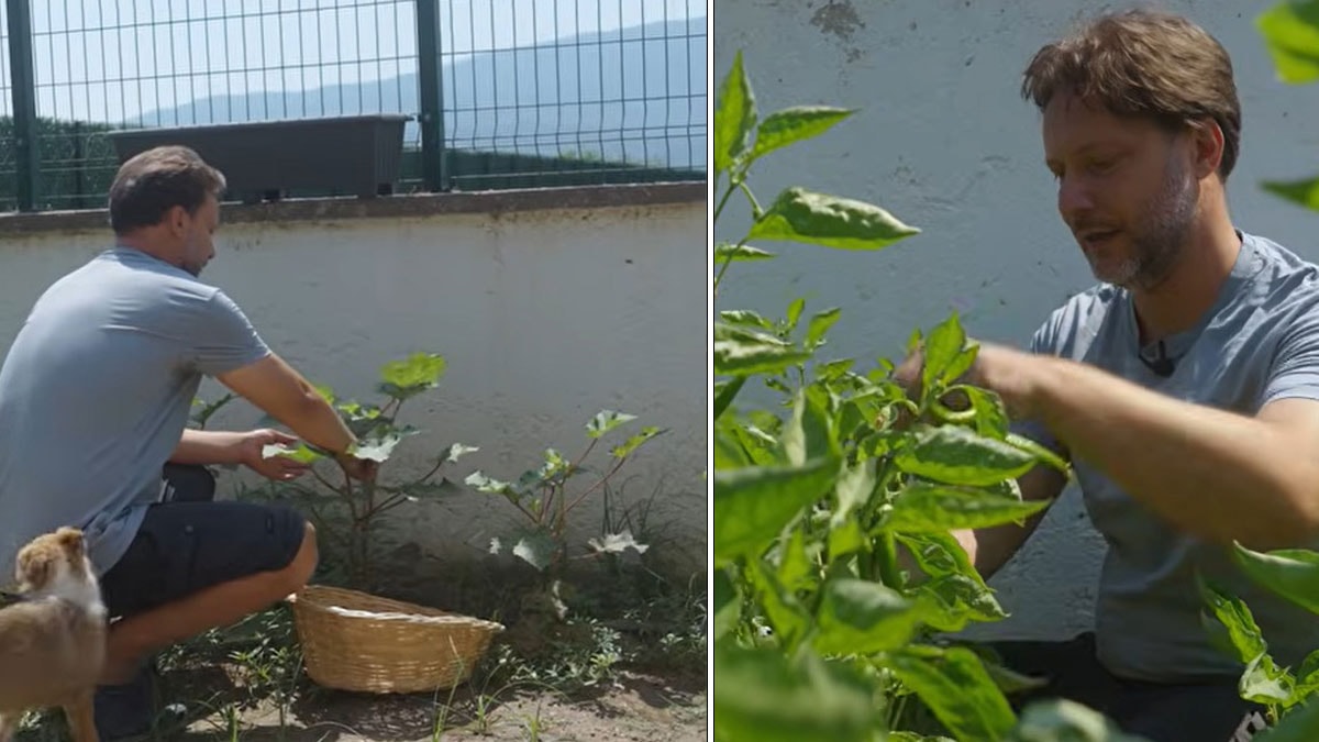 Bir zamanların gözde oyuncusu köye yerleşti: Bakın ne üretiyor