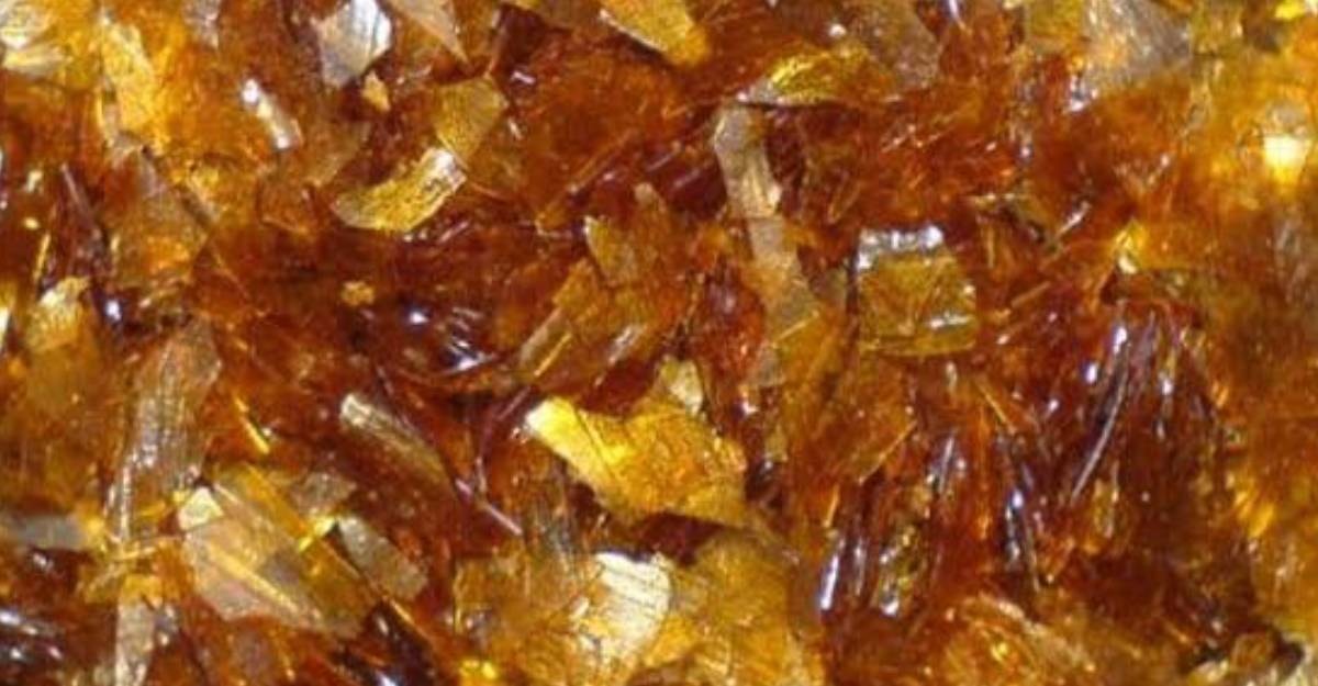 Böceğin dışkısından yapılıyor fiyatı milyonları buluyor