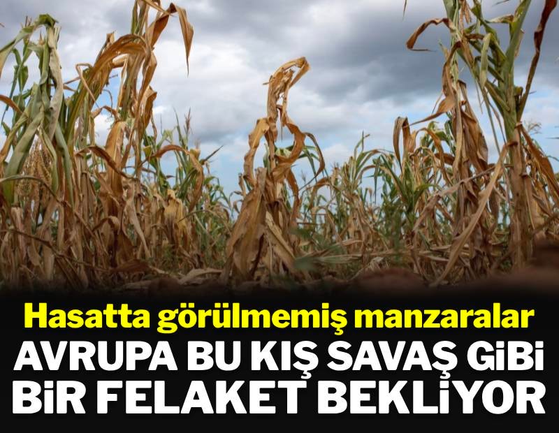 Hasatta görülmemiş manzaralar: Avrupa bu kış savaş gibi bir felaket bekliyor