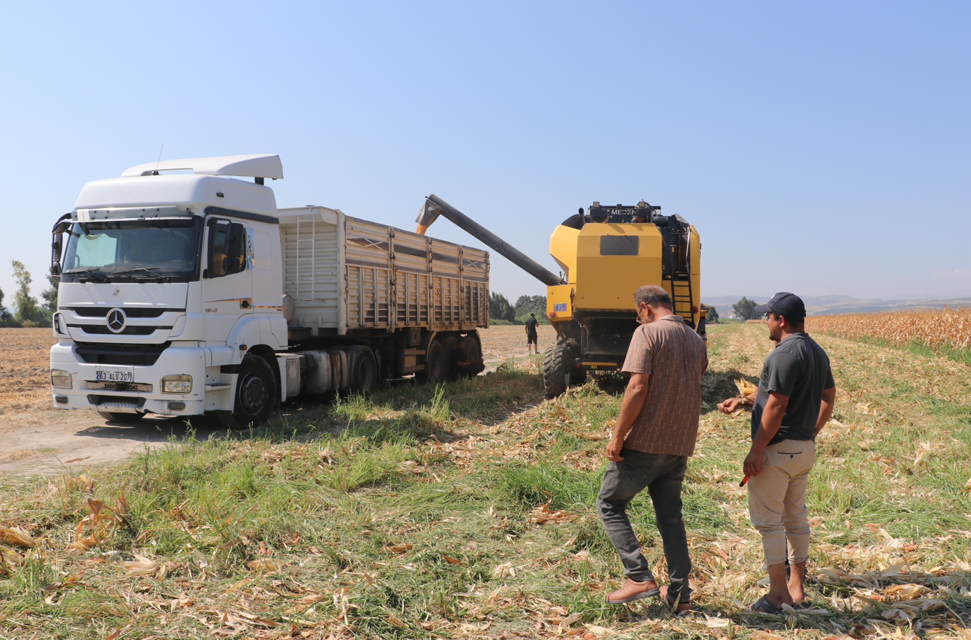 Amik Ovası'nda hasat başladı ama çiftçinin aklı o açıklamada