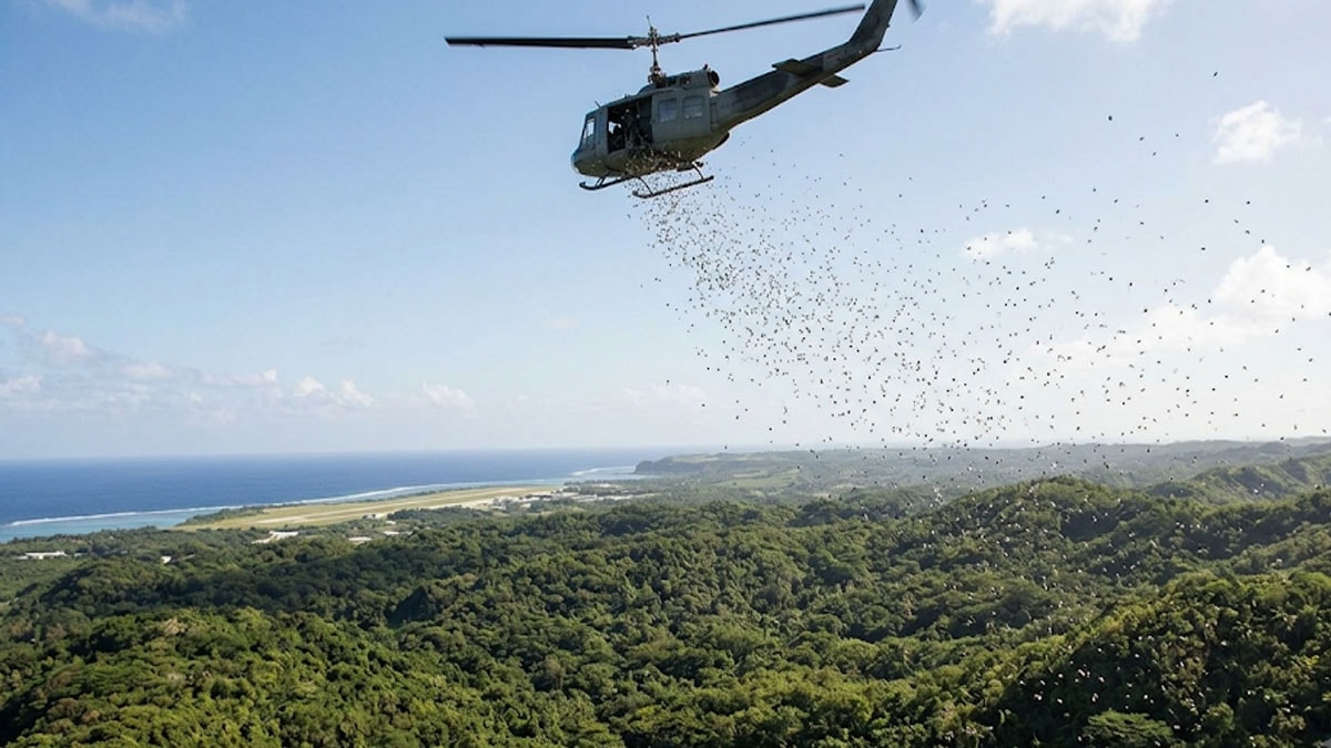 Helikopterle havadan 2000 tane yağdırdılar