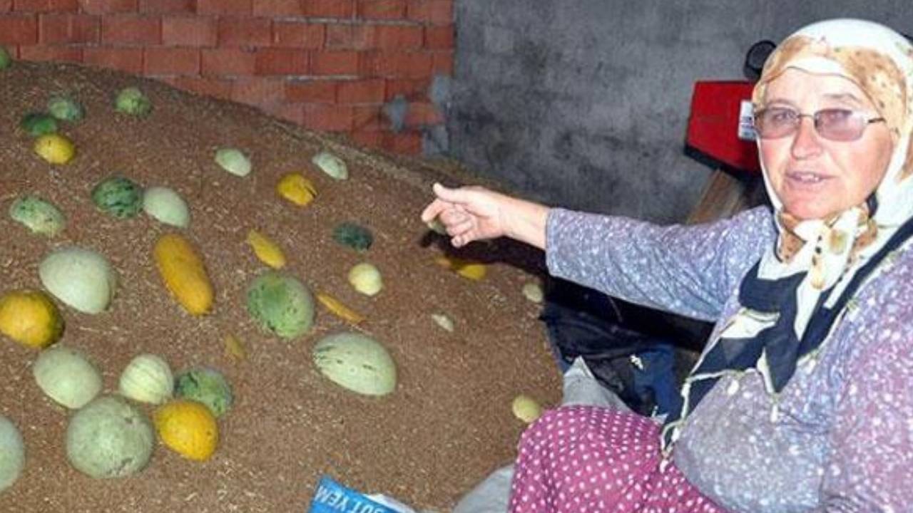 Hırsız almaz için hasat zamanı: Gören burun kıvırıyor ama fiyatı altınla yarışıyor