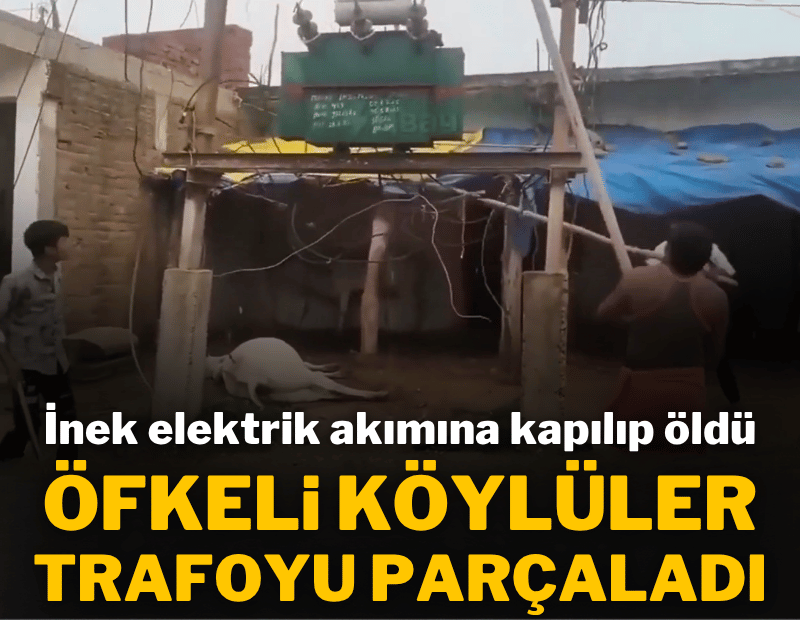 Hindistan'da elektrik akımına kapılan inek öldü; köylüler trafoya saldırdı