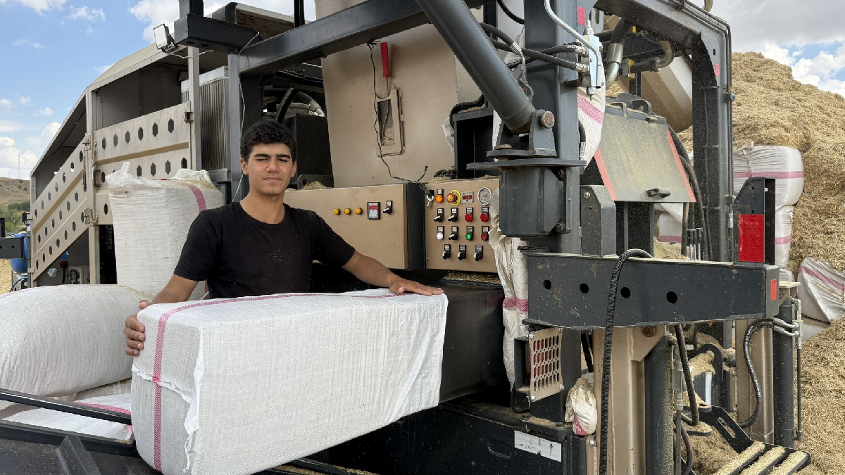 Geçen yıl 10 liraydı bu yıl 3 lira: Almak için Türkiye’nin dört bir yanından geliyorlar