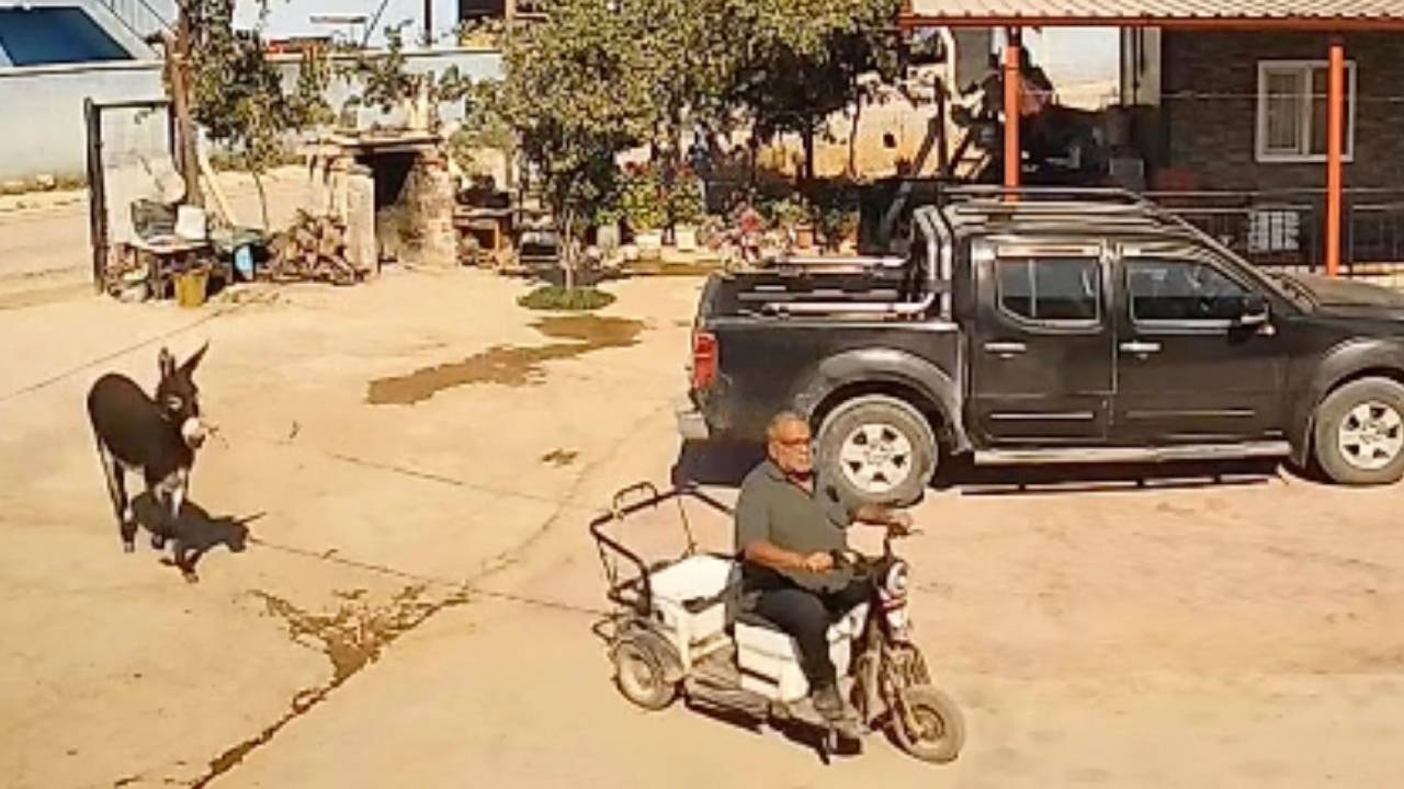 İmdat çağrısına gitmişti: Hasadı kurtarmak isteyen muhtar felaketi yaşadı