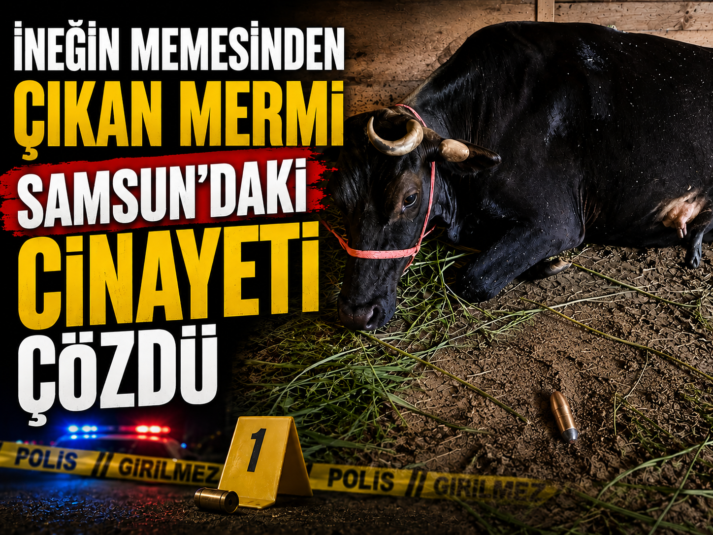 İneğin memesinden çıkan mermi Samsun'daki cinayeti çözdü