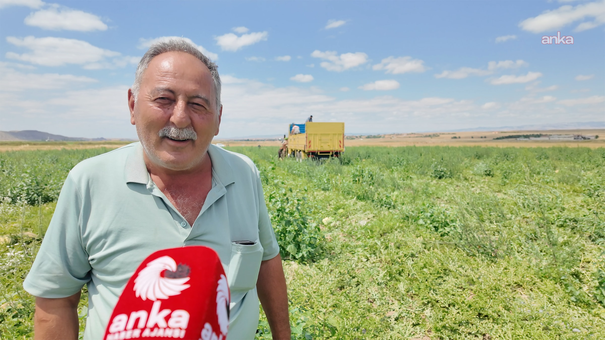 Tarlaya giren çiftçi perişan oldu! Tarihin en kötü hasadı isyan ettirdi