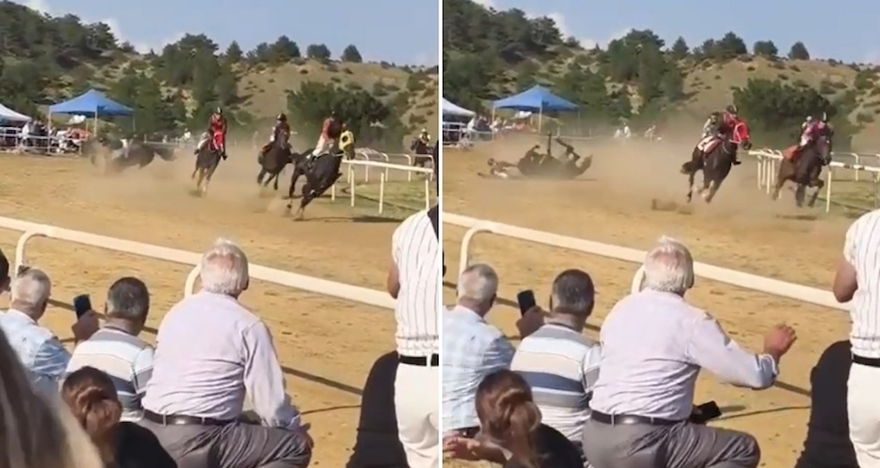 Başıboş at, yarışa daldı; 1 jokey yaralandı, 2 at öldü