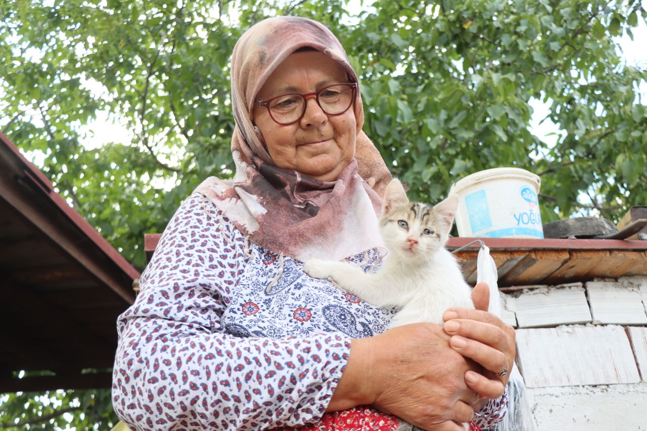 Emekli çift, sahipsiz kediler için bahçelerini yuvaya dönüştürdü