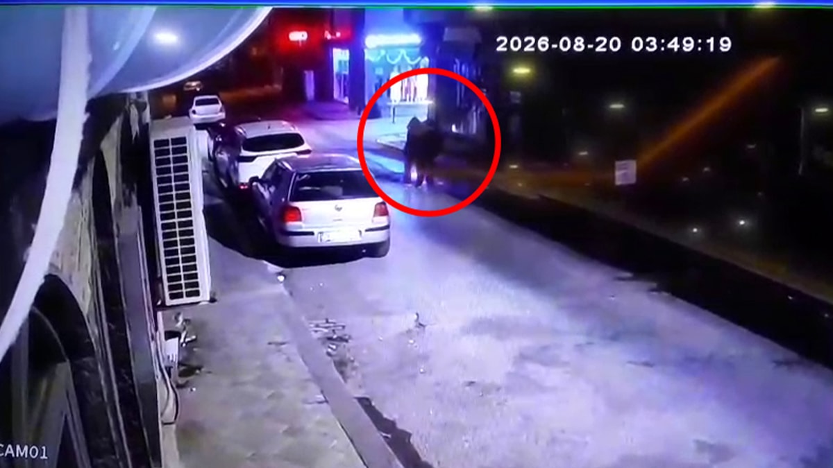 Sahilde cesetleri bulunan 3 kardeşin son görüntüleri ortaya çıktı