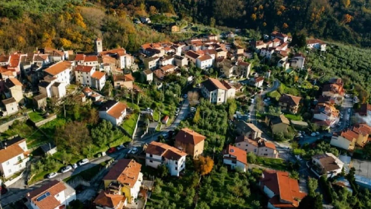 Yeşil altın hasadı için 150 nüfuslu köy kapılarını açtı: Yemek ve konaklama ücretsiz