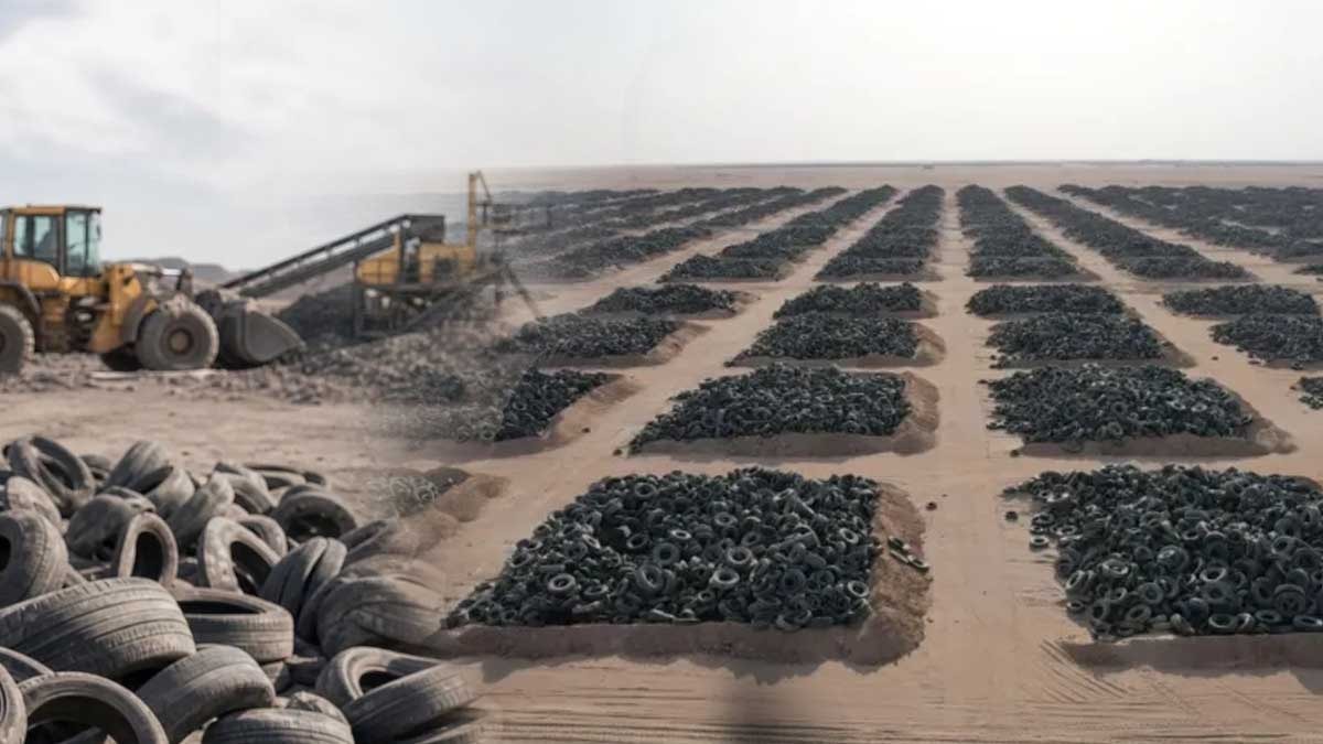 4 metrelik 20 bin dev lastiği toprağa gömdüler şimdi darphane gibi para basıyorlar