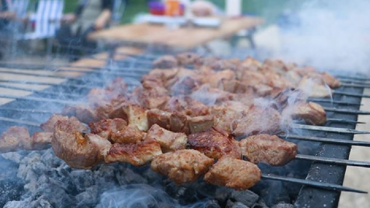 Mangal yapmak yasaklanacak: Çağrı yapıldı
