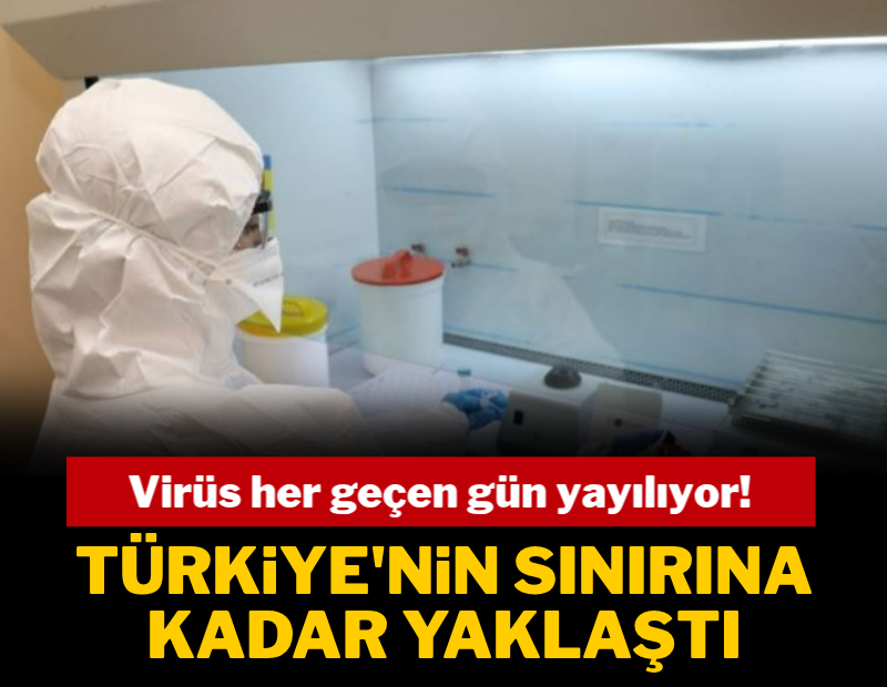 Virüs hızla yayılıyor! Türkiye'nin sınırına kadar yaklaştı