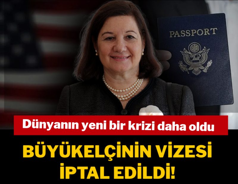 ABD, Brezilya Büyükelçisi Viotti'nin vizesini iptal etti