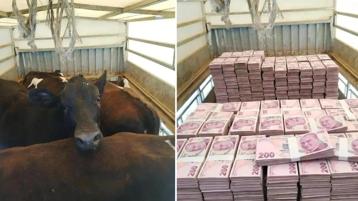 Düştüğü not manidar! Kayserili besicinin paylaşımına bakın