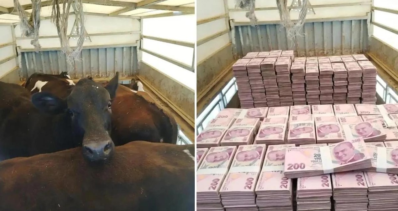 Düştüğü not manidar! Kayserili besicinin paylaşımına bakın