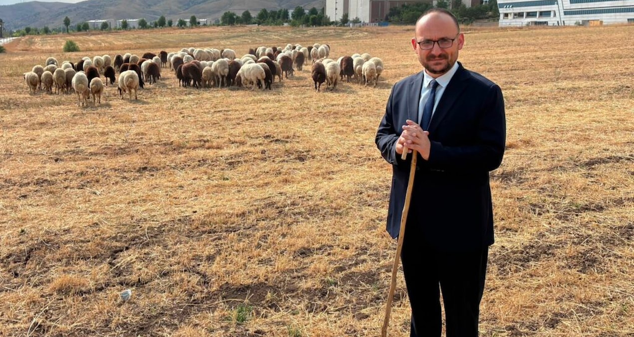 AKP’den tepki geldi, rektör açıklama yaptı! Koyun fotoğrafının sırrı ortaya çıktı