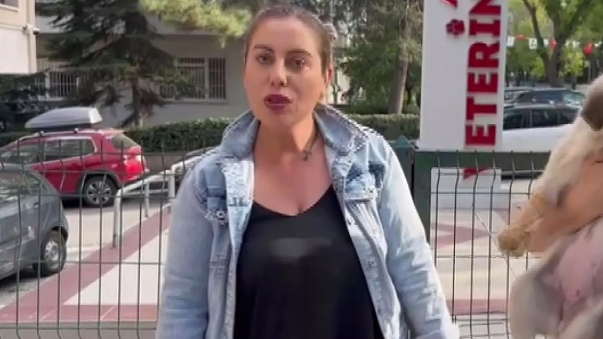 Gülay Akgün Mutlu yol kenarında ölü bulunmuştu! Yeni gözaltılar var