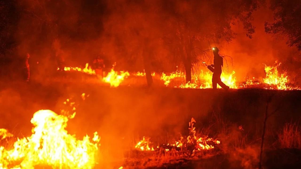 Yangın söndü, gizli gömü ortaya çıktı: Topraktan dev hazine fışkırdı