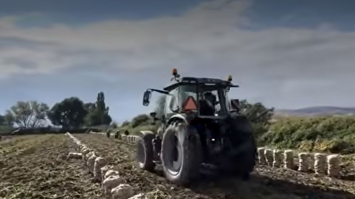 150 bin liralık patatesi bedava dağıttı