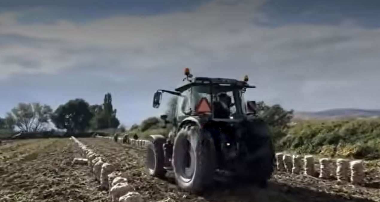 150 bin liralık patatesi bedava dağıttı