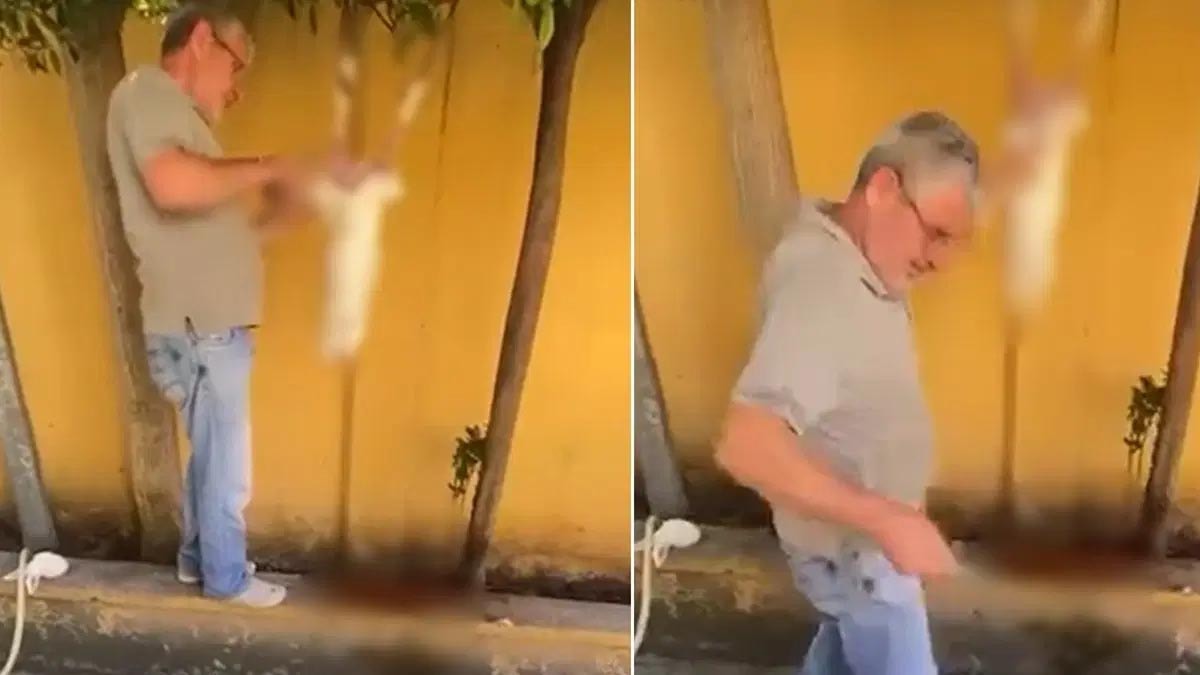 Okul bahçesinde tavşanın derisini yüzdüğü iddia edilen şüpheli gözaltına alındı