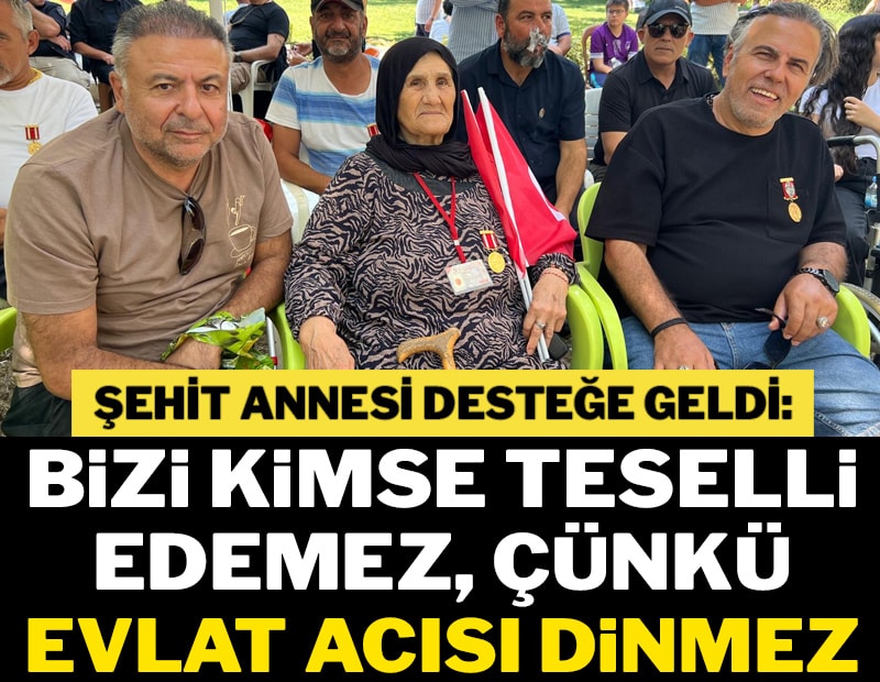 'Benim ciğerim şehit, yok artık'