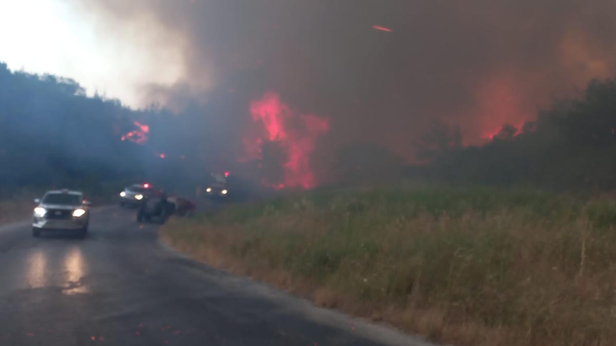 Çanakkale’de otlukta çıkan yangın ormana sıçradı