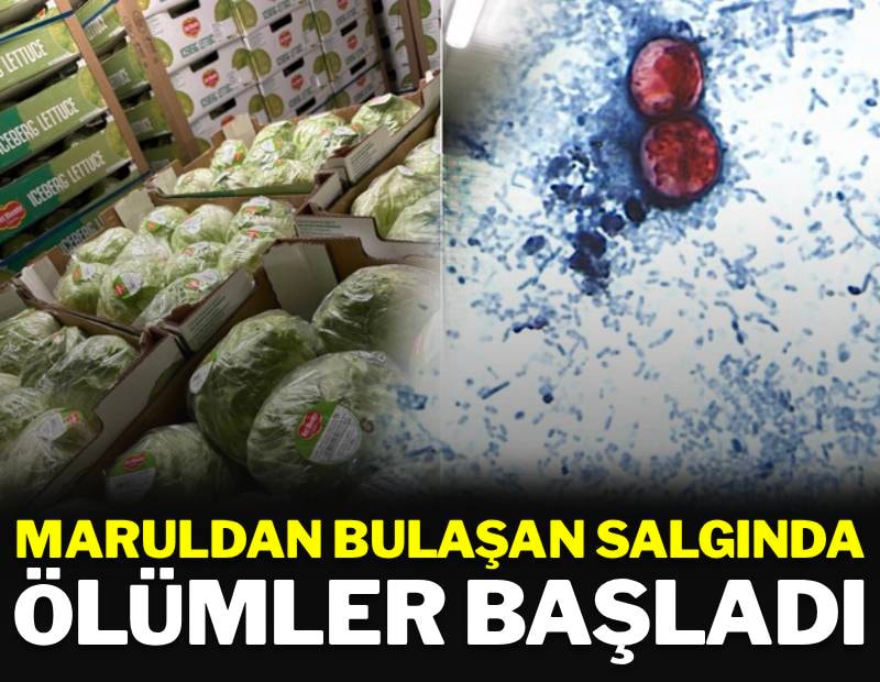 Maruldan bulaşan salgında ölümler başladı