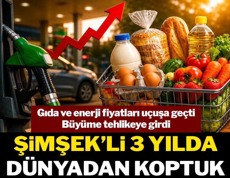 Şimşek'li 3 yılda dünyadan koptuk