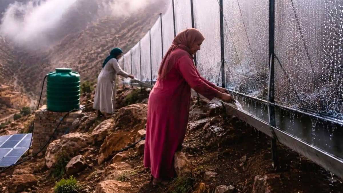 Sisi yakalayıp içme suyuna dönüştürdüler: Köyün su çilesi böyle bitti