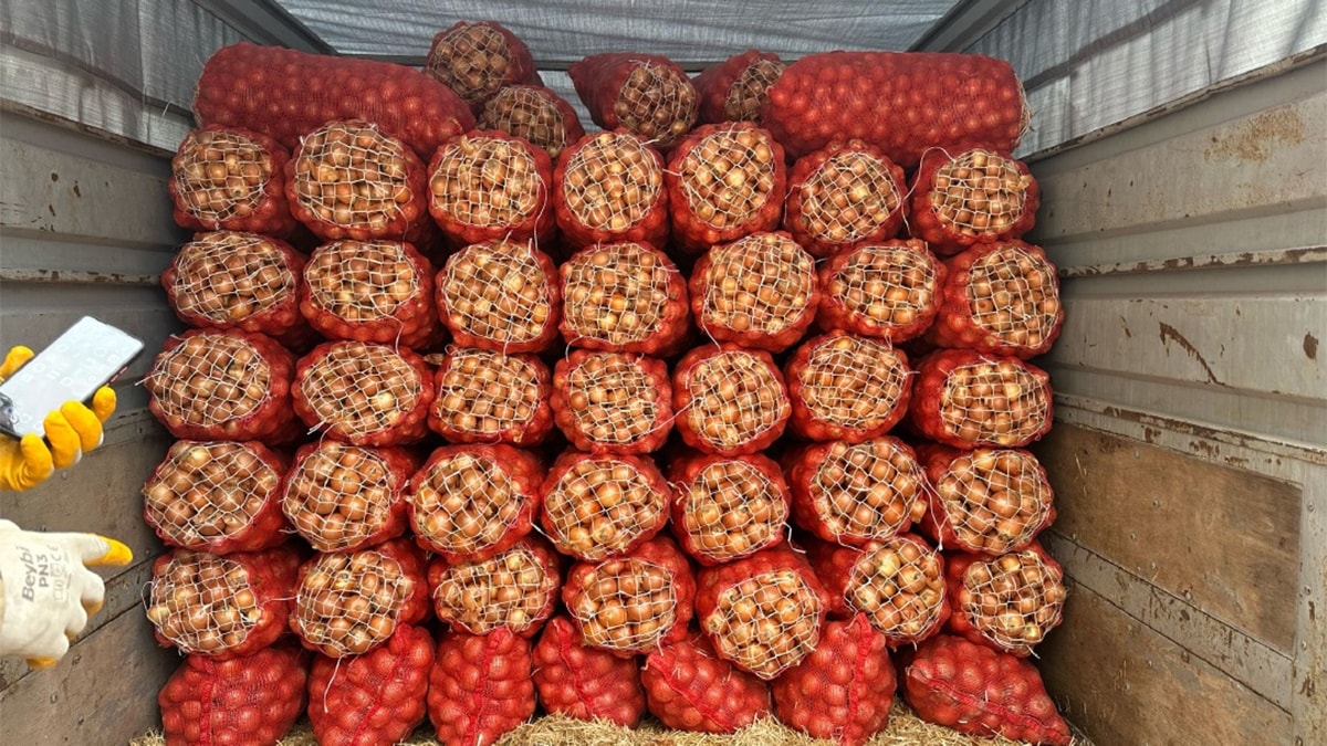 Çiftçinin umutlarını çöpe döküyorlar