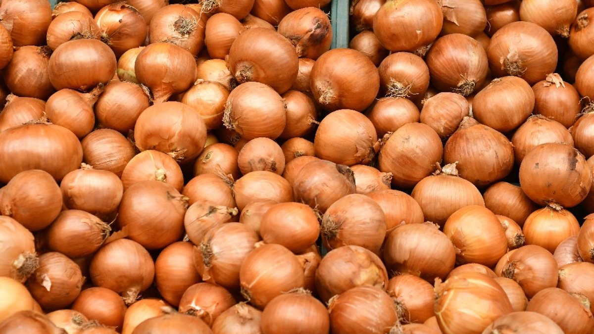Her gün tüketiliyor ama bu hastalığı olanlar soğan yemesin